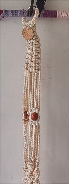 plant hanger 4